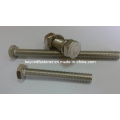 Shoulder Screw Step Screw Bolts Cutting Point